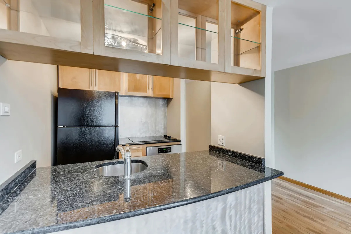 1221 N Dearborn Street Unit: 605N