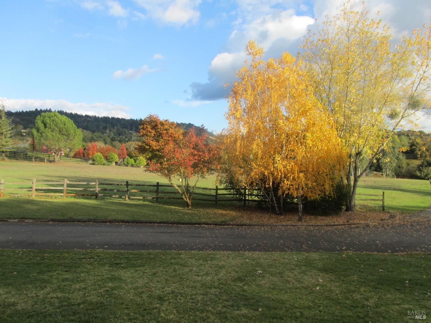 5017 Winter Creek Rd