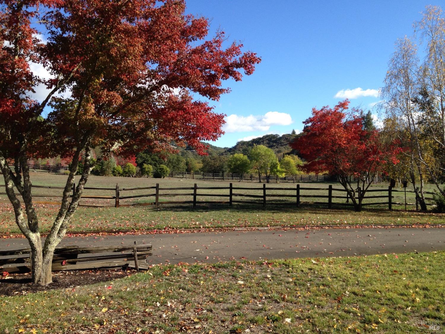 5017 Winter Creek Rd