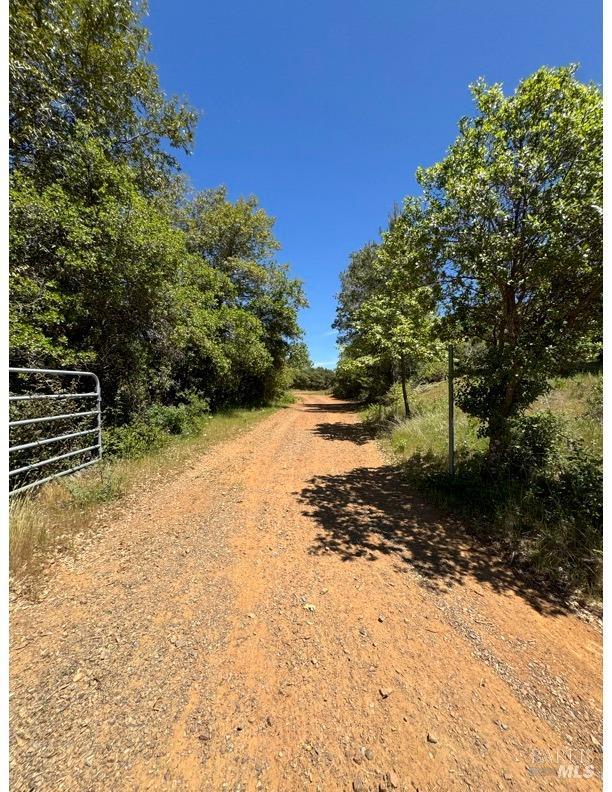 35150 Pine Mountain Rd