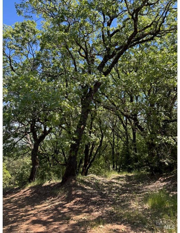 35150 Pine Mountain Rd