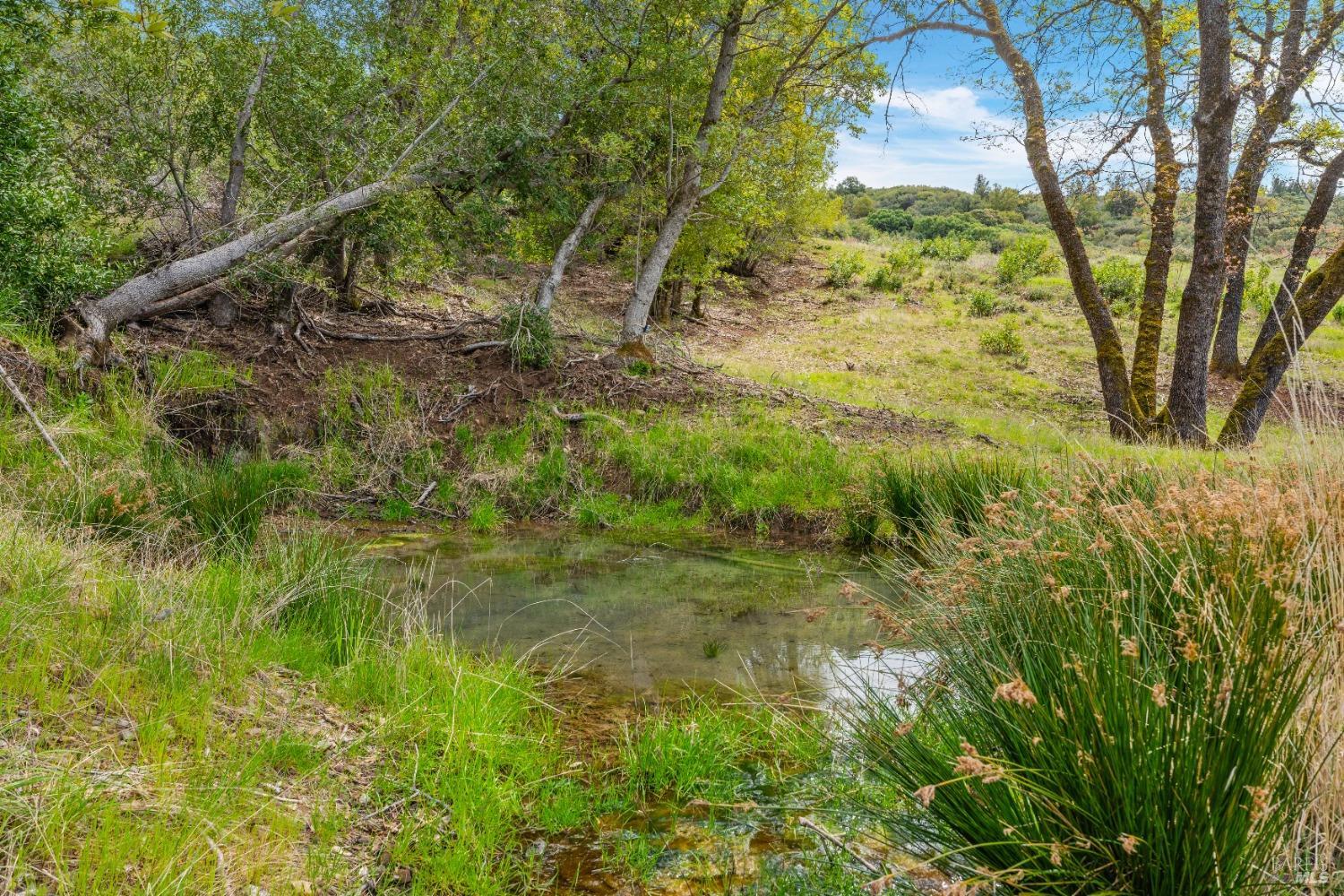 35150 Pine Mountain Rd