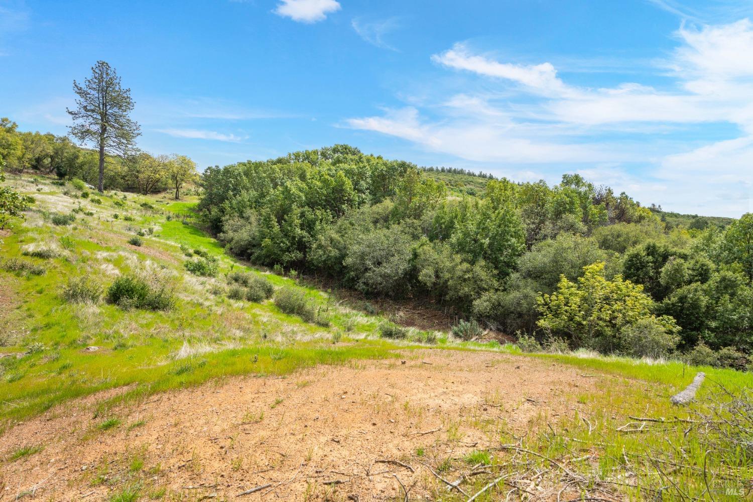 35150 Pine Mountain Rd