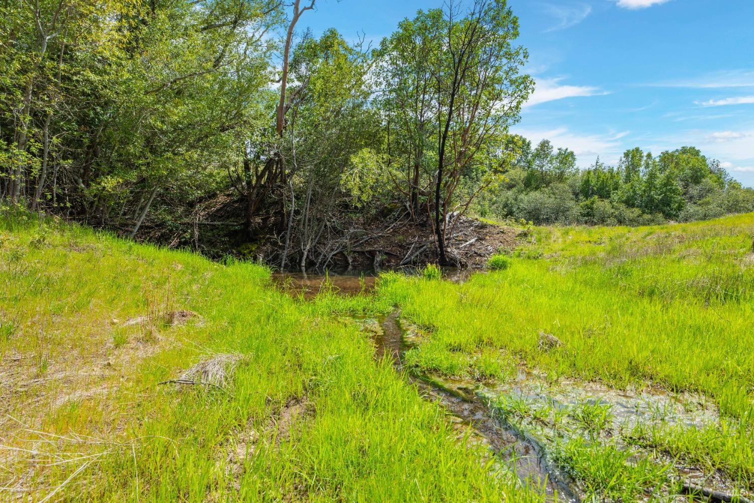 35150 Pine Mountain Rd