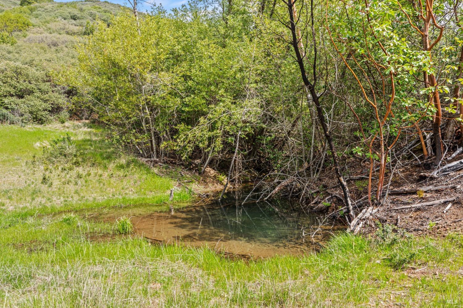 35150 Pine Mountain Rd