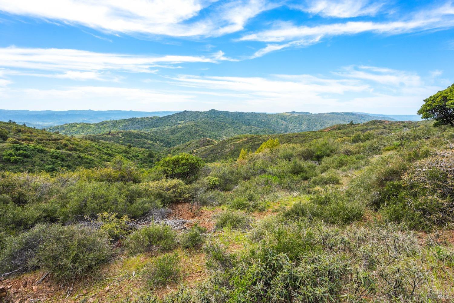 35150 Pine Mountain Rd