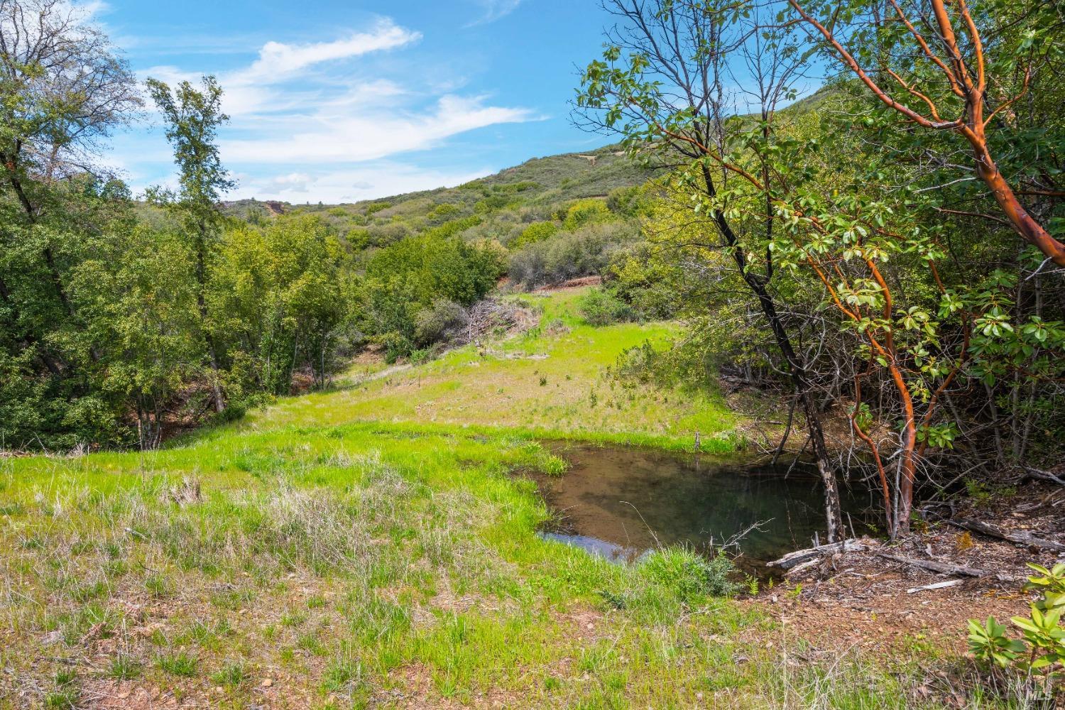 35150 Pine Mountain Rd