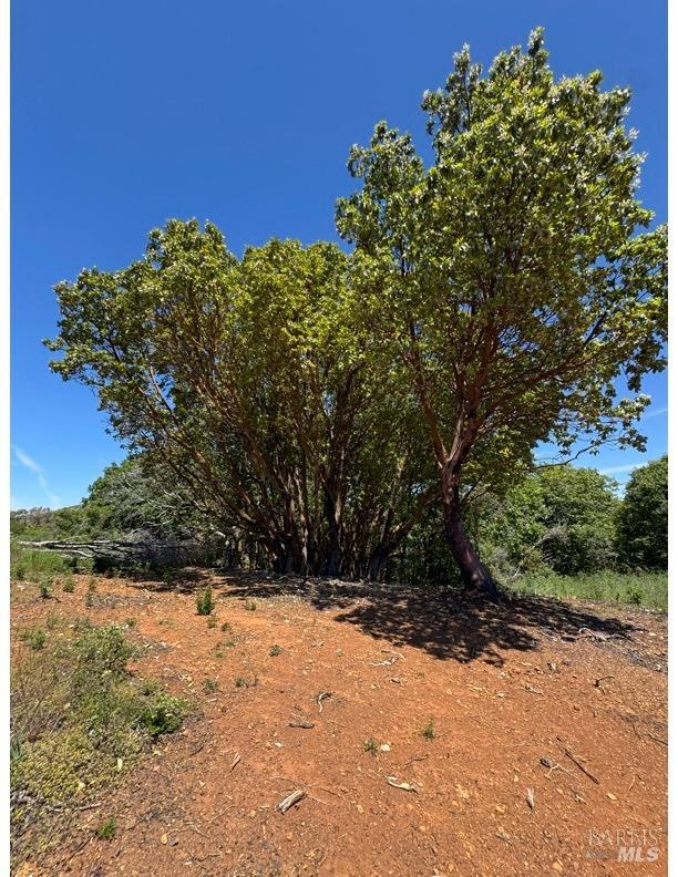 35150 Pine Mountain Rd