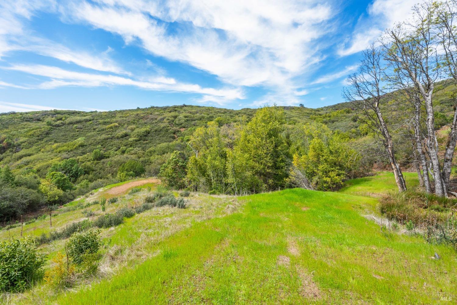 35150 Pine Mountain Rd