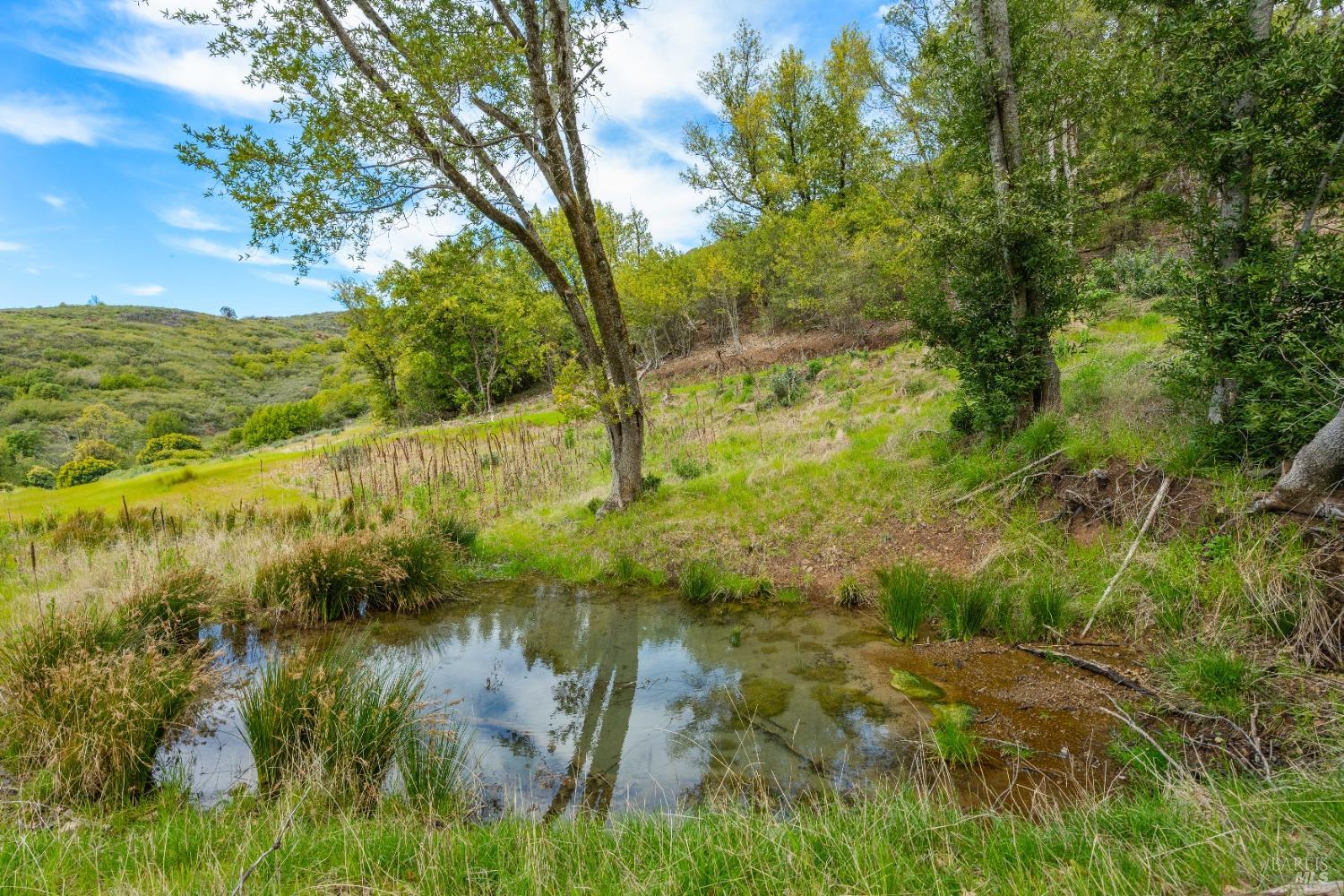 35150 Pine Mountain Rd