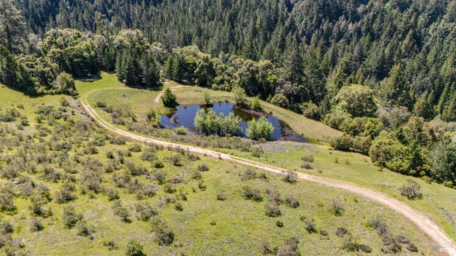 9655 Peachland Rd