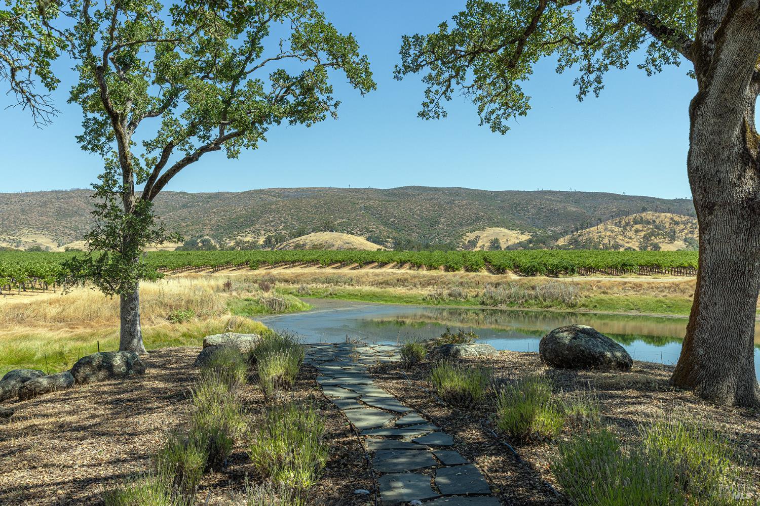 1650 Aetna Springs Ln