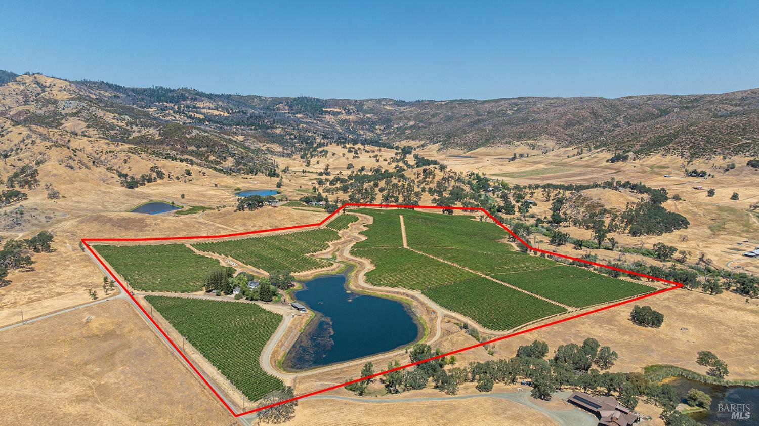 Aetna Springs Ln