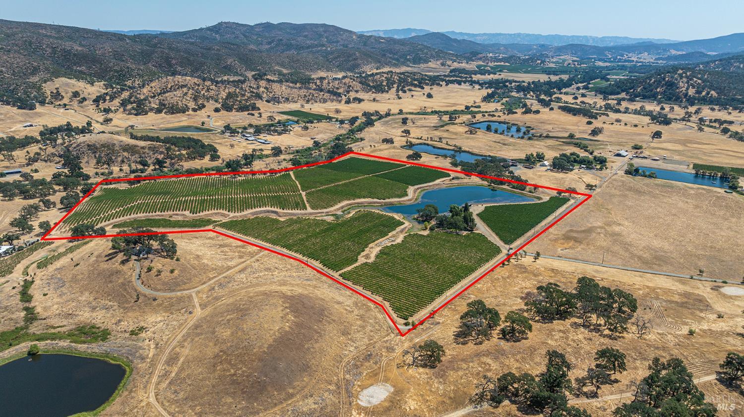 Aetna Springs Ln