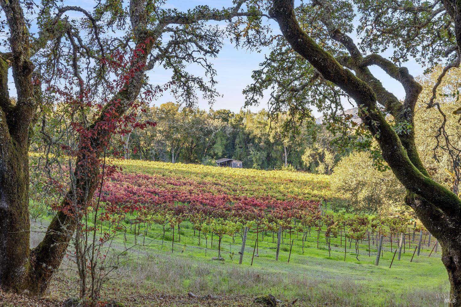 3295 Warm Springs Rd