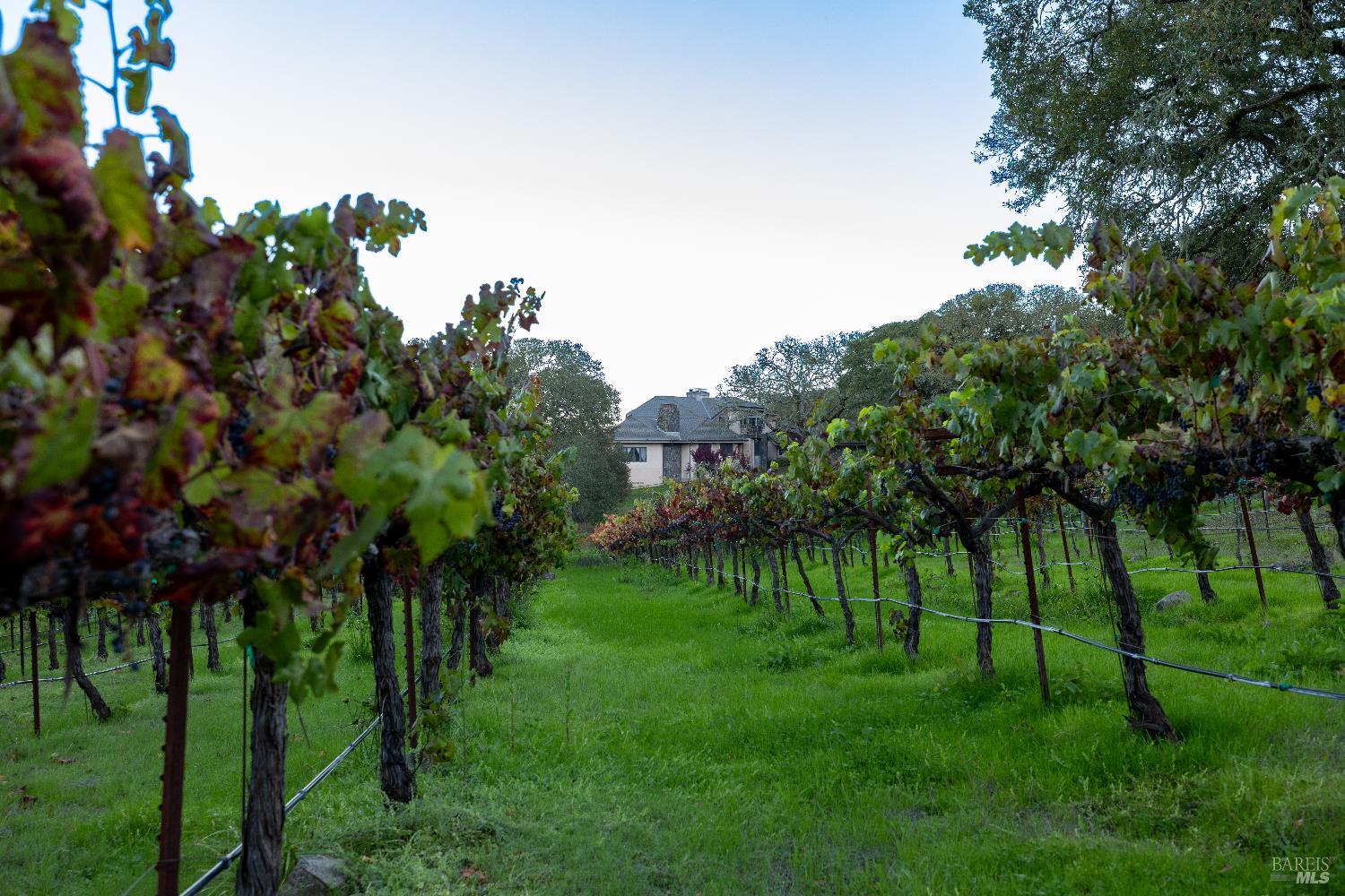 3295 Warm Springs Rd