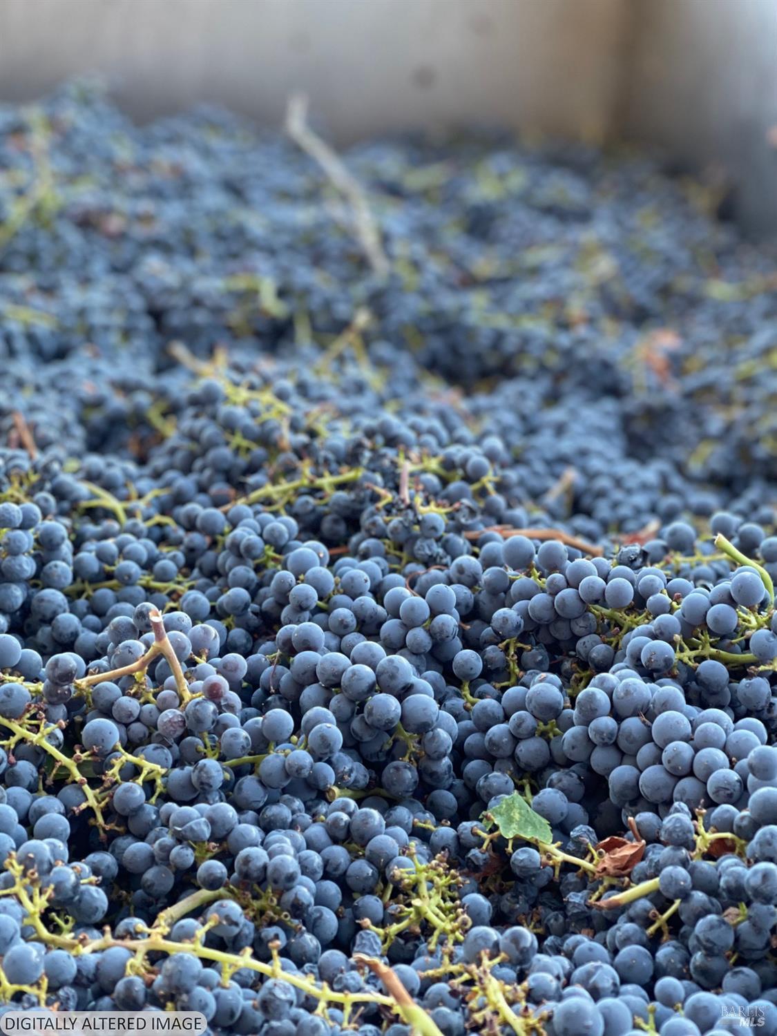 8320 Franz Valley Road