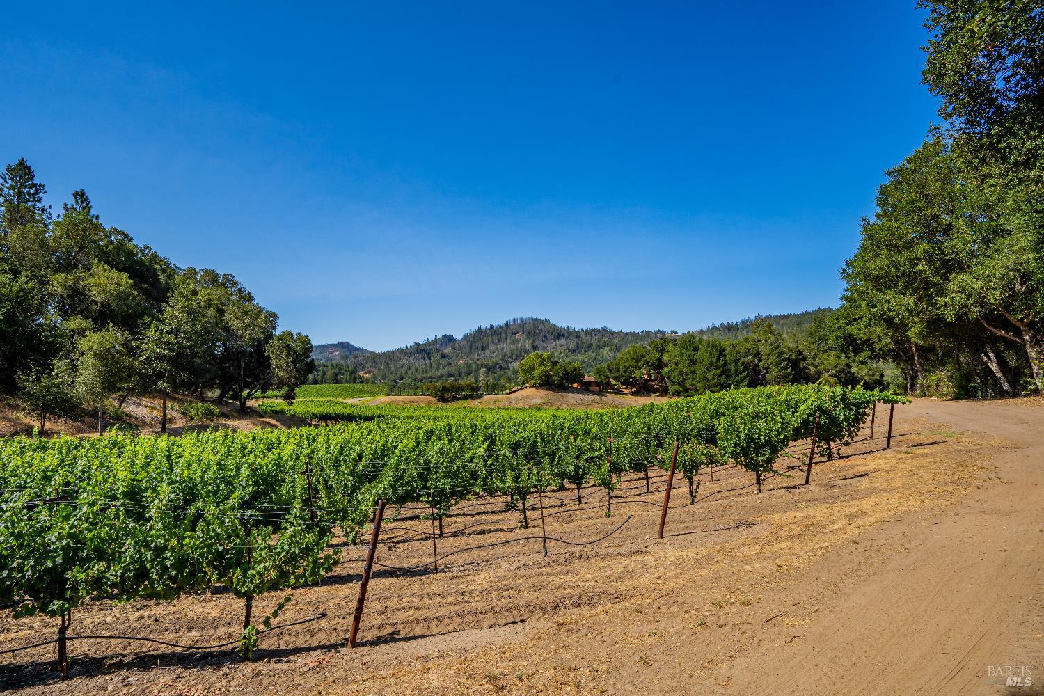 8320 Franz Valley Road