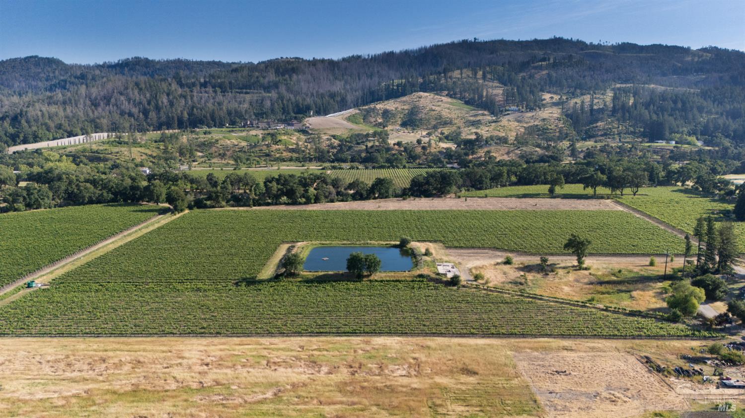 4427 Silverado Trail