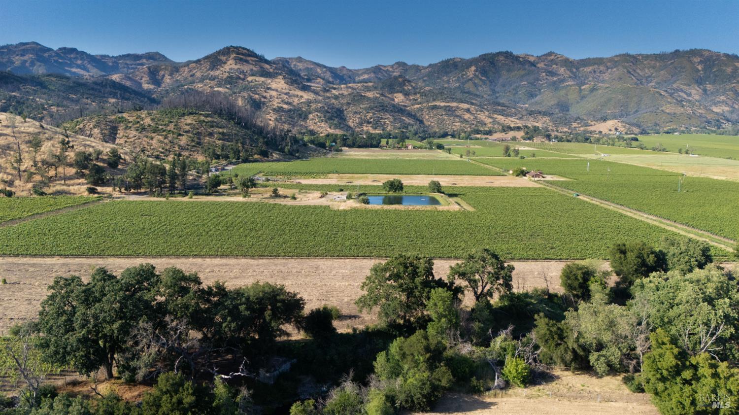 4427 Silverado Trail