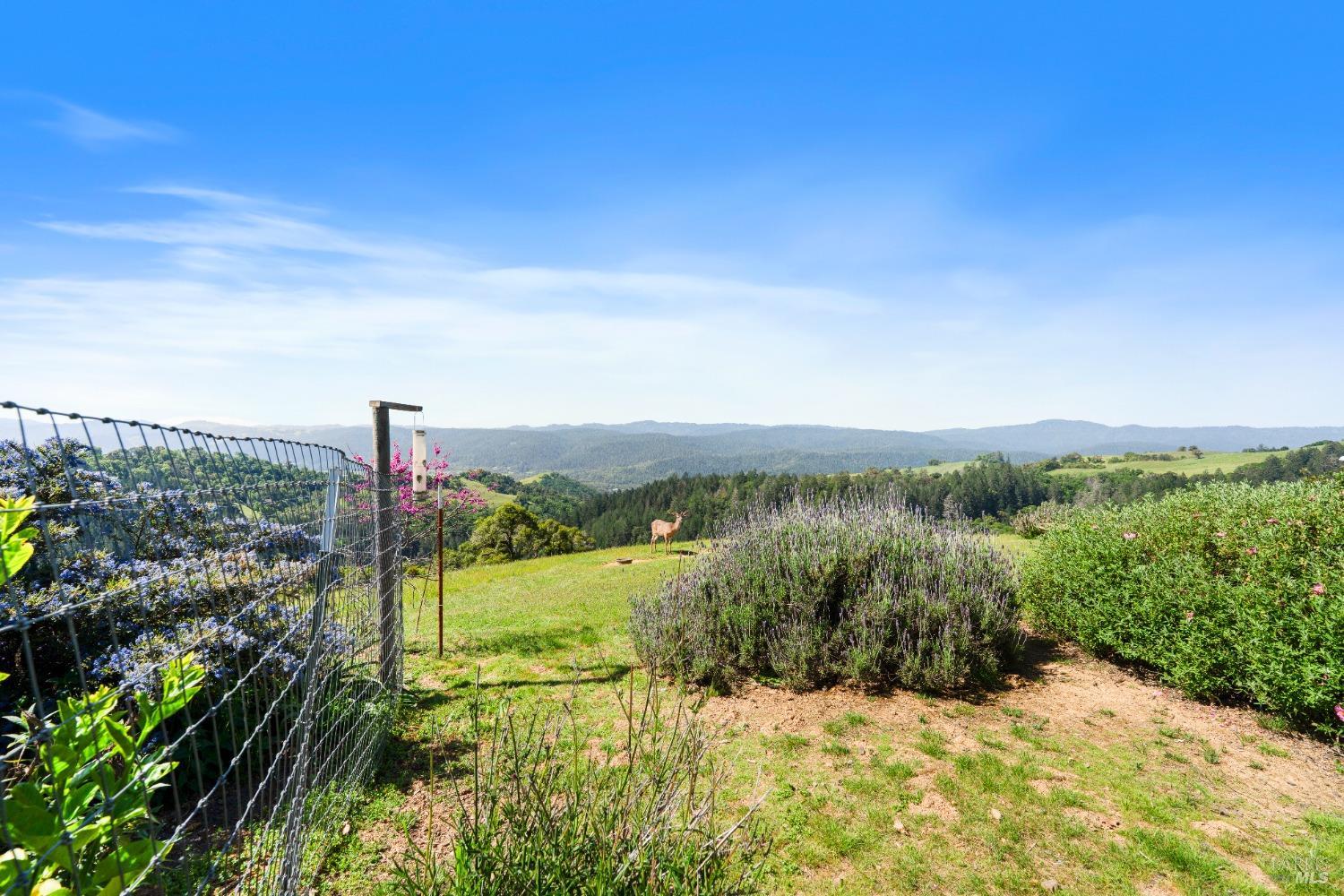 9655 Peachland Road