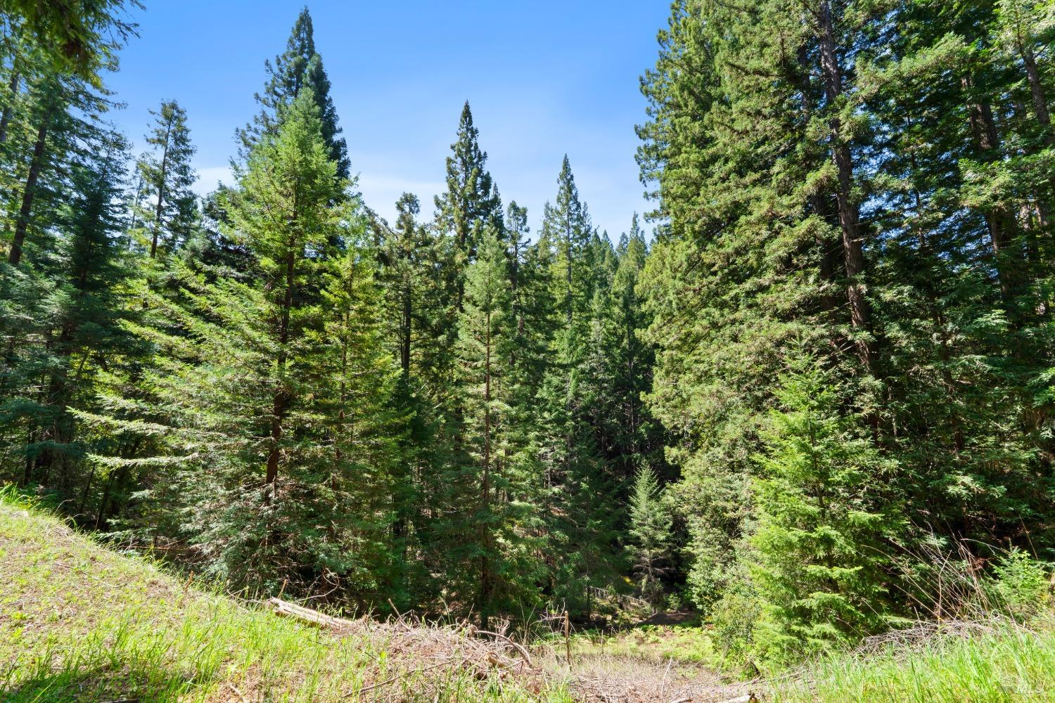9655 Peachland Road