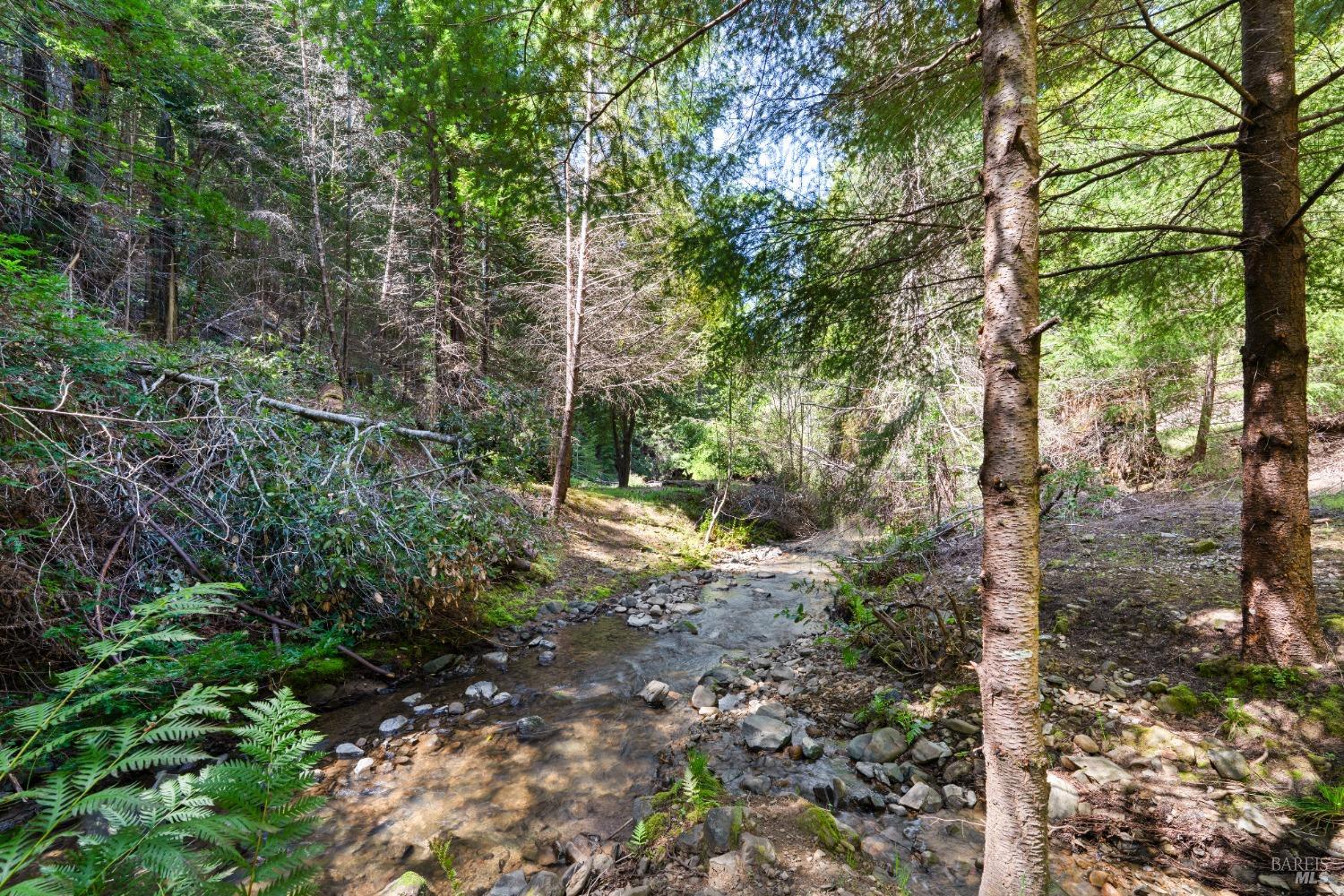 9655 Peachland Road