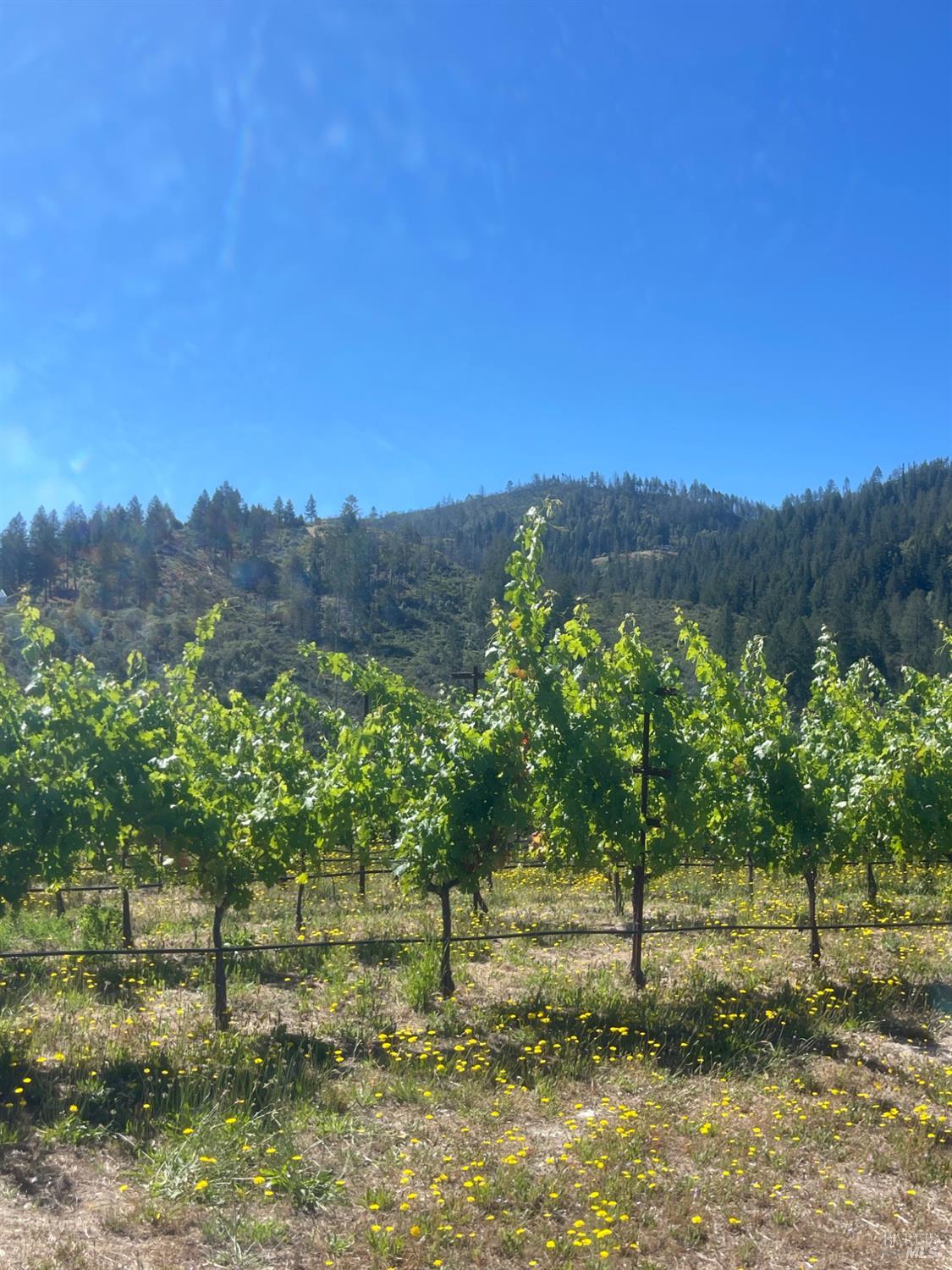 0 Diamond Mountain Road