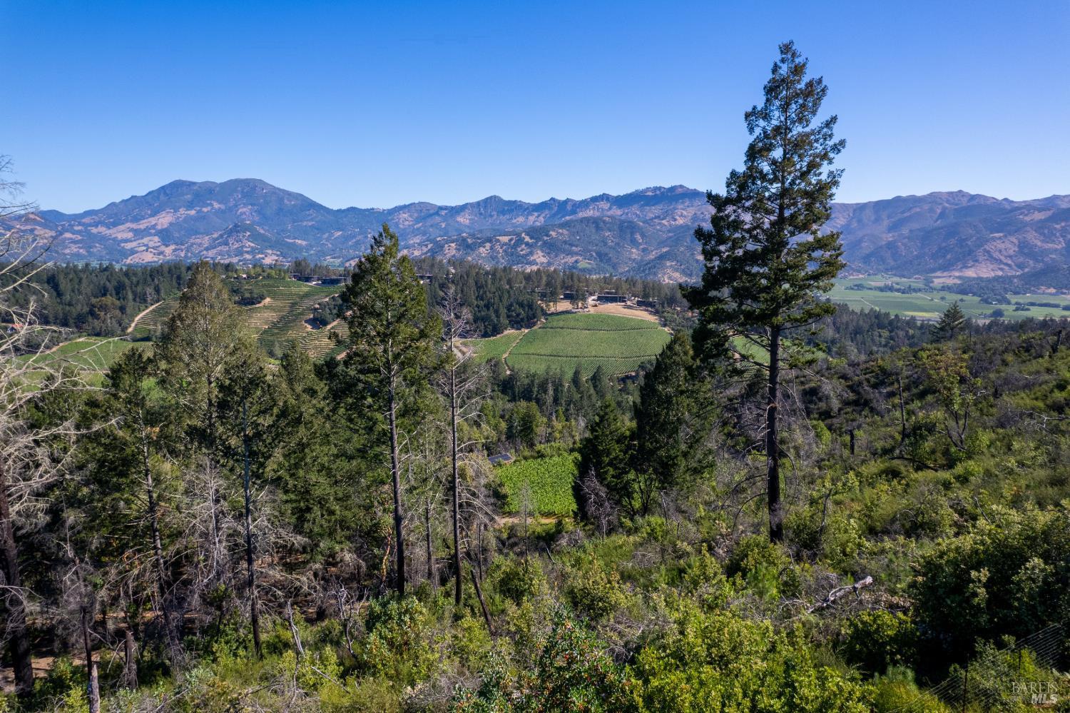 0 Diamond Mountain Road