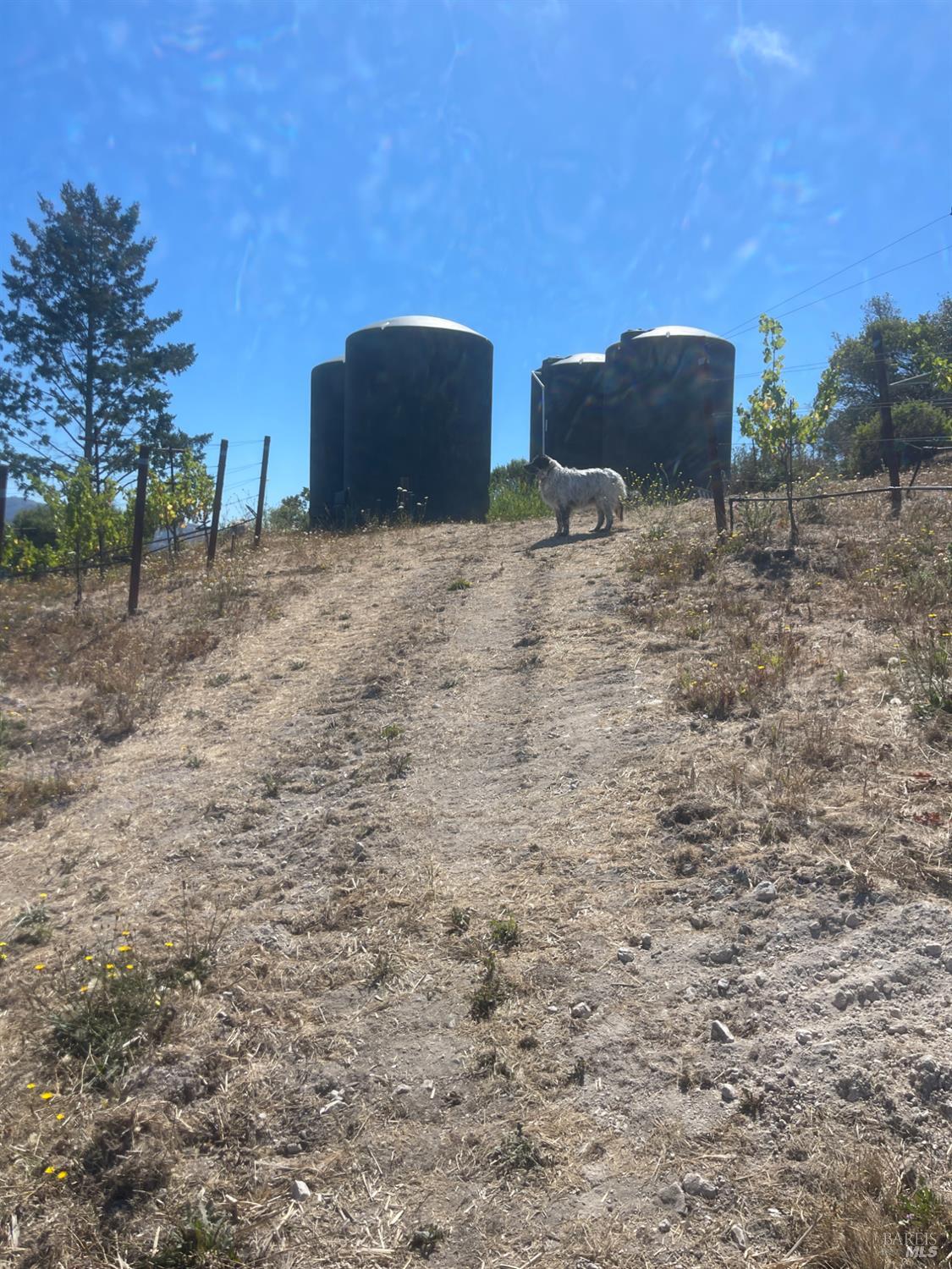 0 Diamond Mountain Road