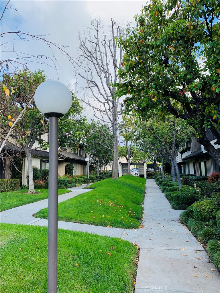 436 Fairview 32