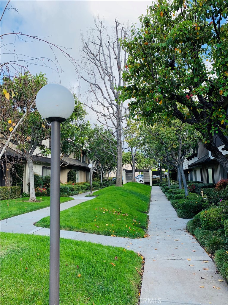 436 Fairview 32