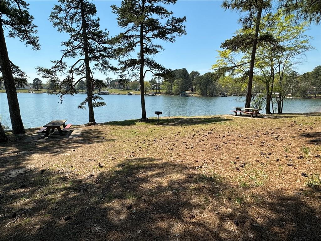 561 Chestatee Point