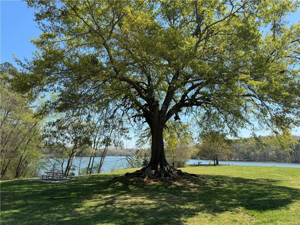 561 Chestatee Point