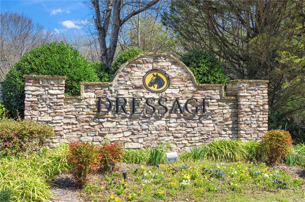 6520 Dressage Crossing
