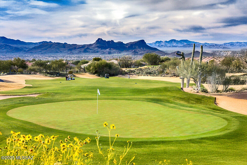 12979 N Desert Flora Lane