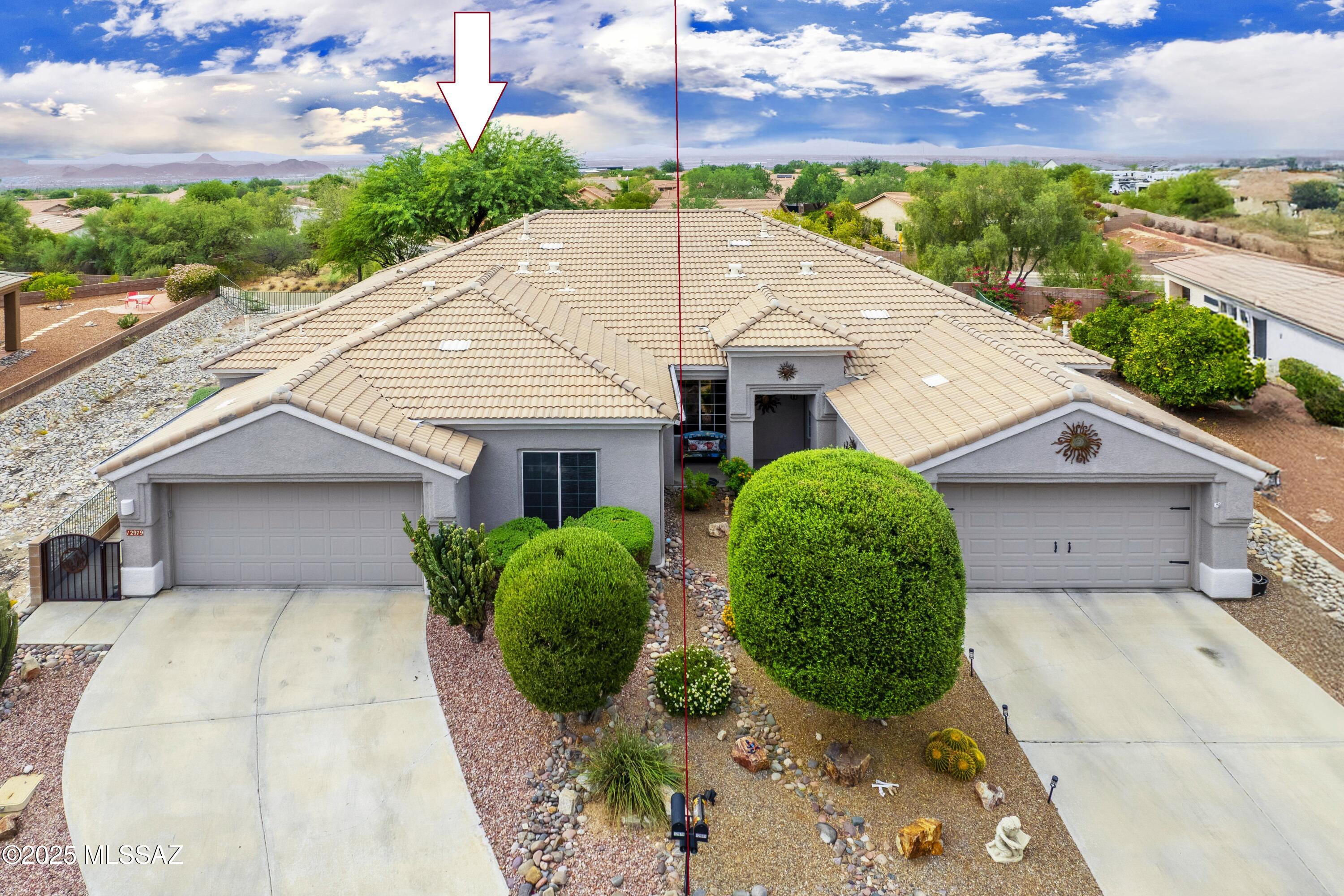 12979 N Desert Flora Lane