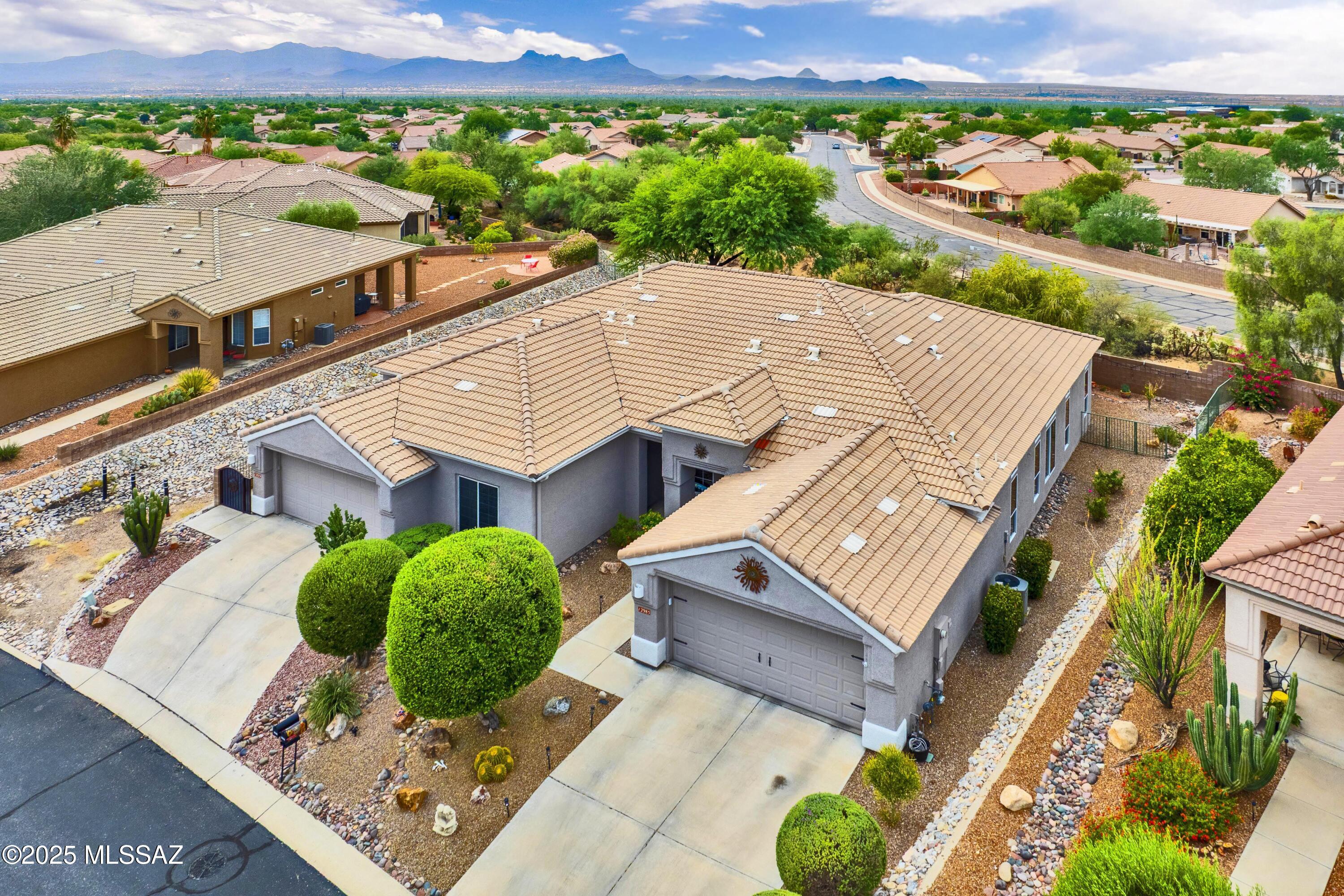 12979 N Desert Flora Lane