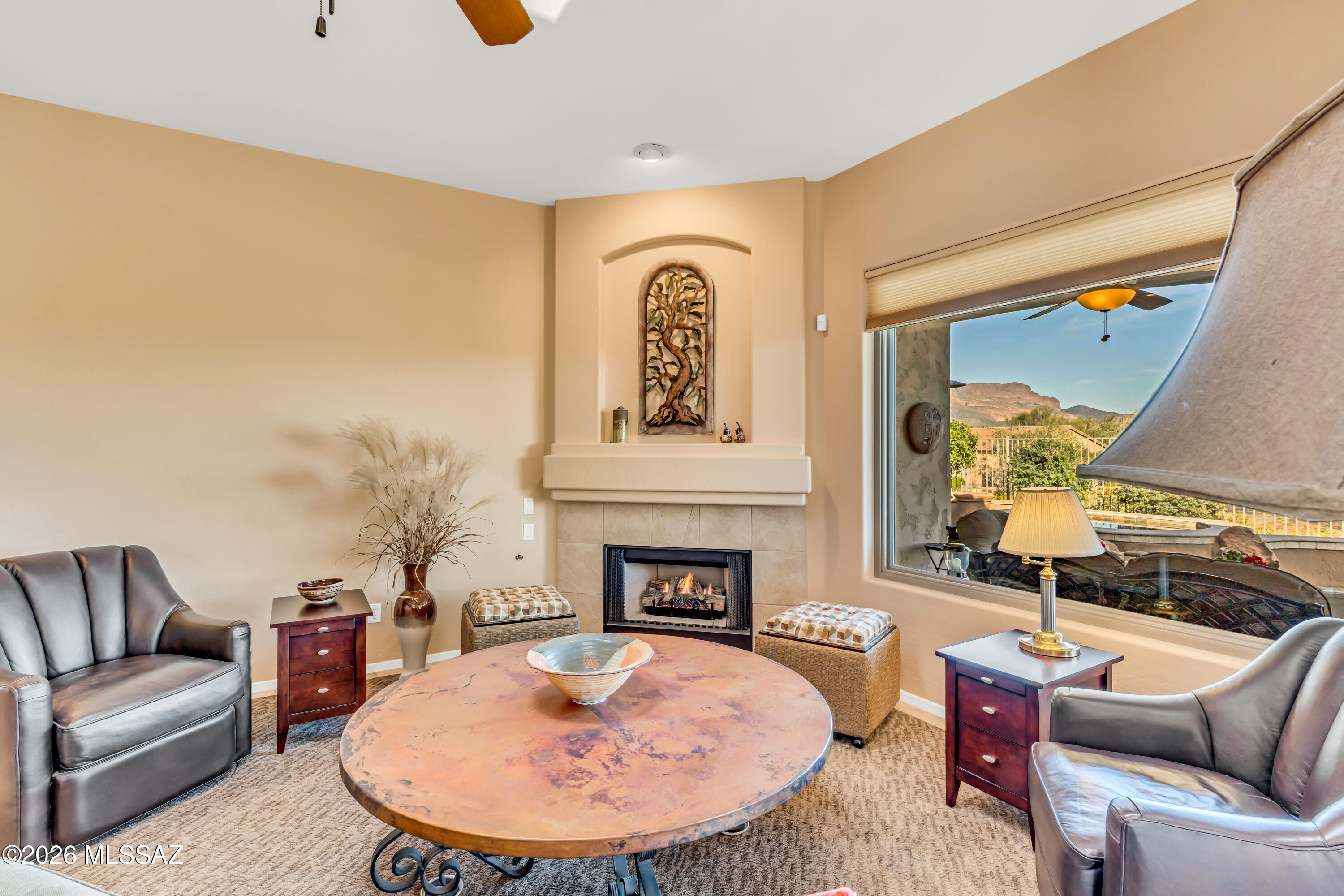 4179 S Tigre Del Mar Drive