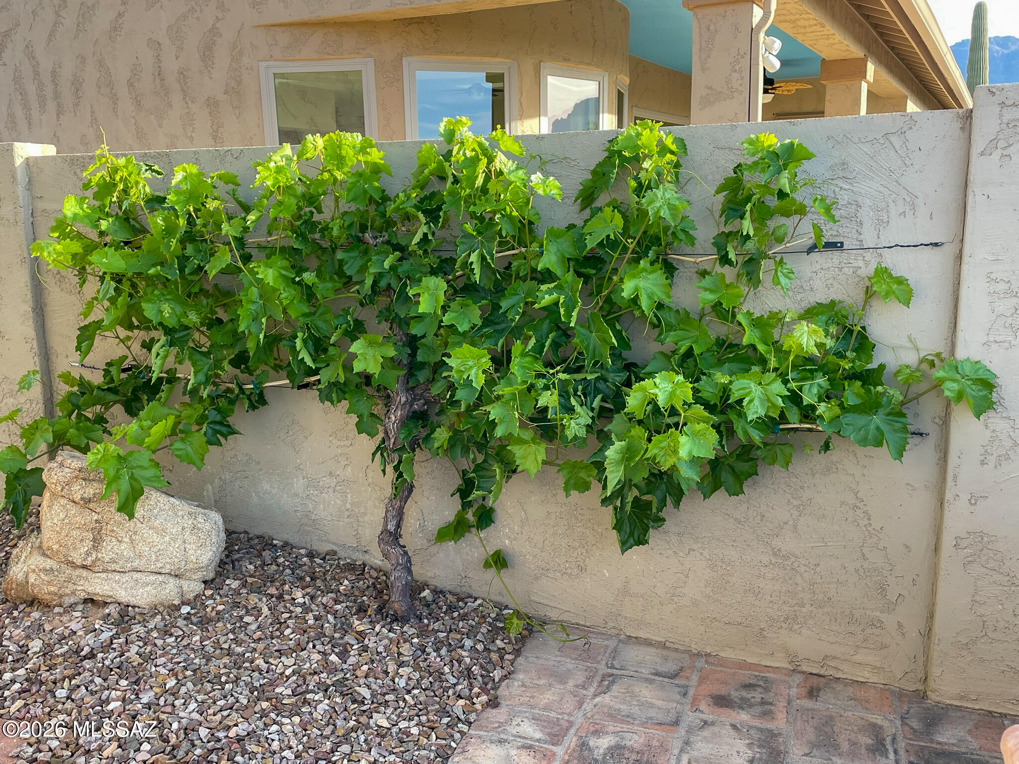 4179 S Tigre Del Mar Drive