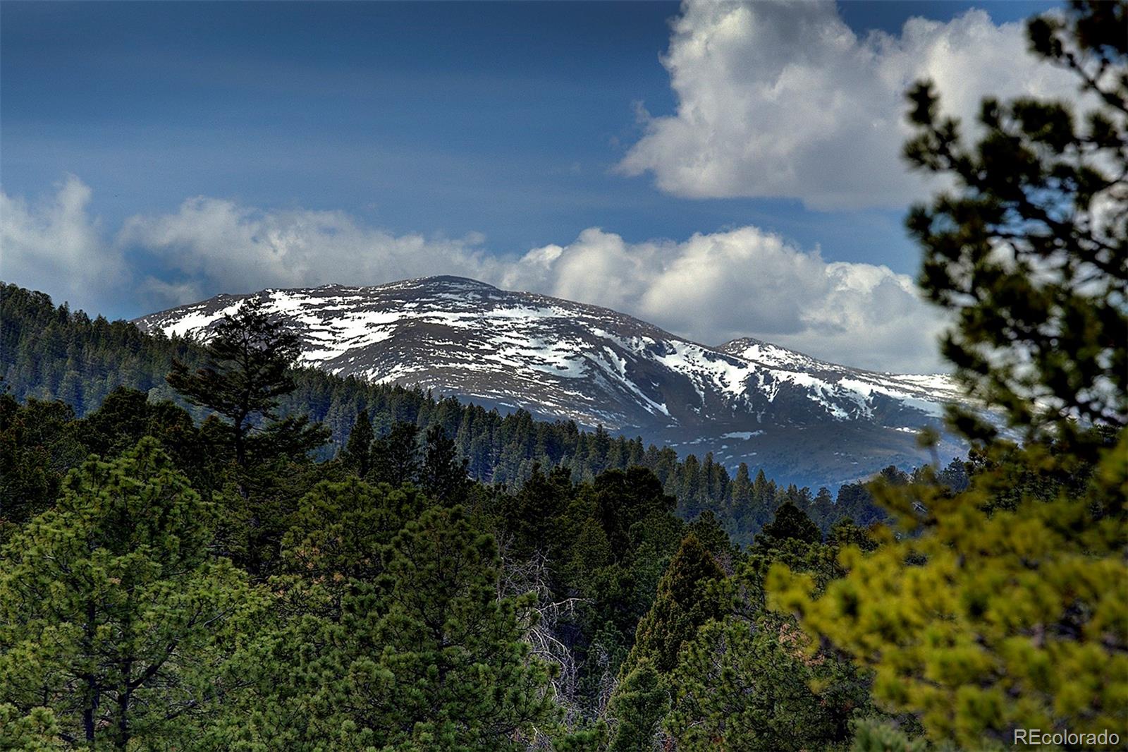 27987 Richmond Hill Road