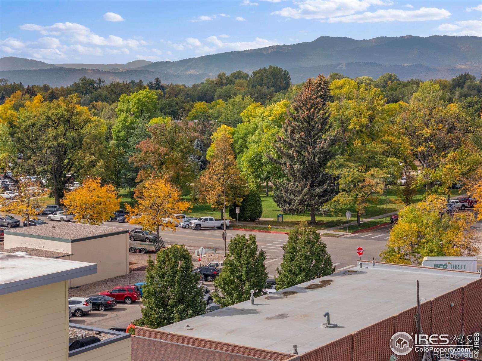 204 Maple Street Unit: 401