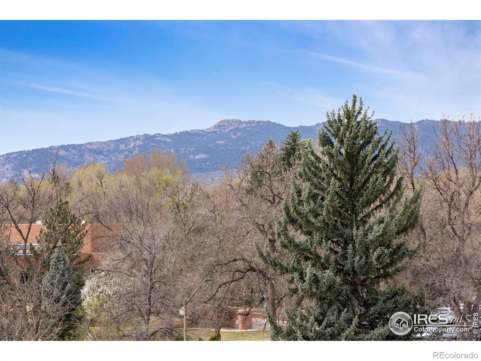 204 Maple Street Unit: 401