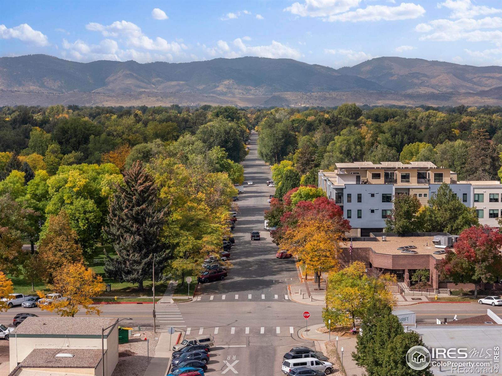 204 Maple Street Unit: 401