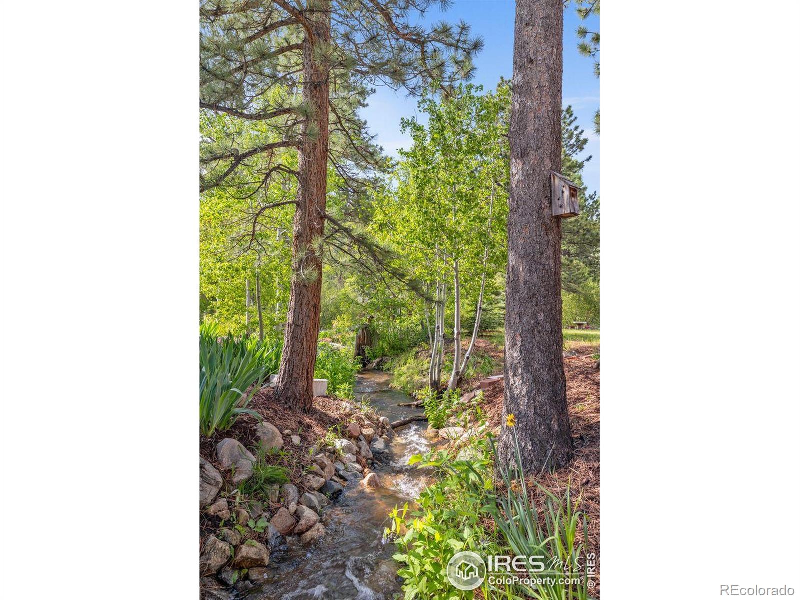428 Rustic Road