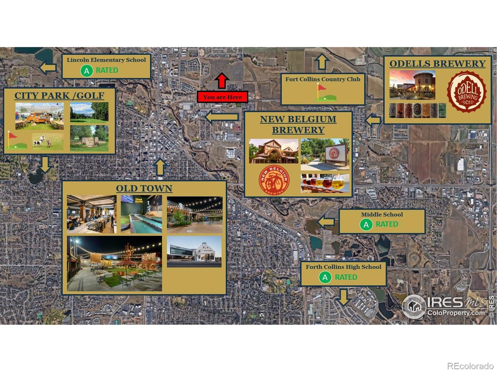 919 Schlagel Street Unit: 1