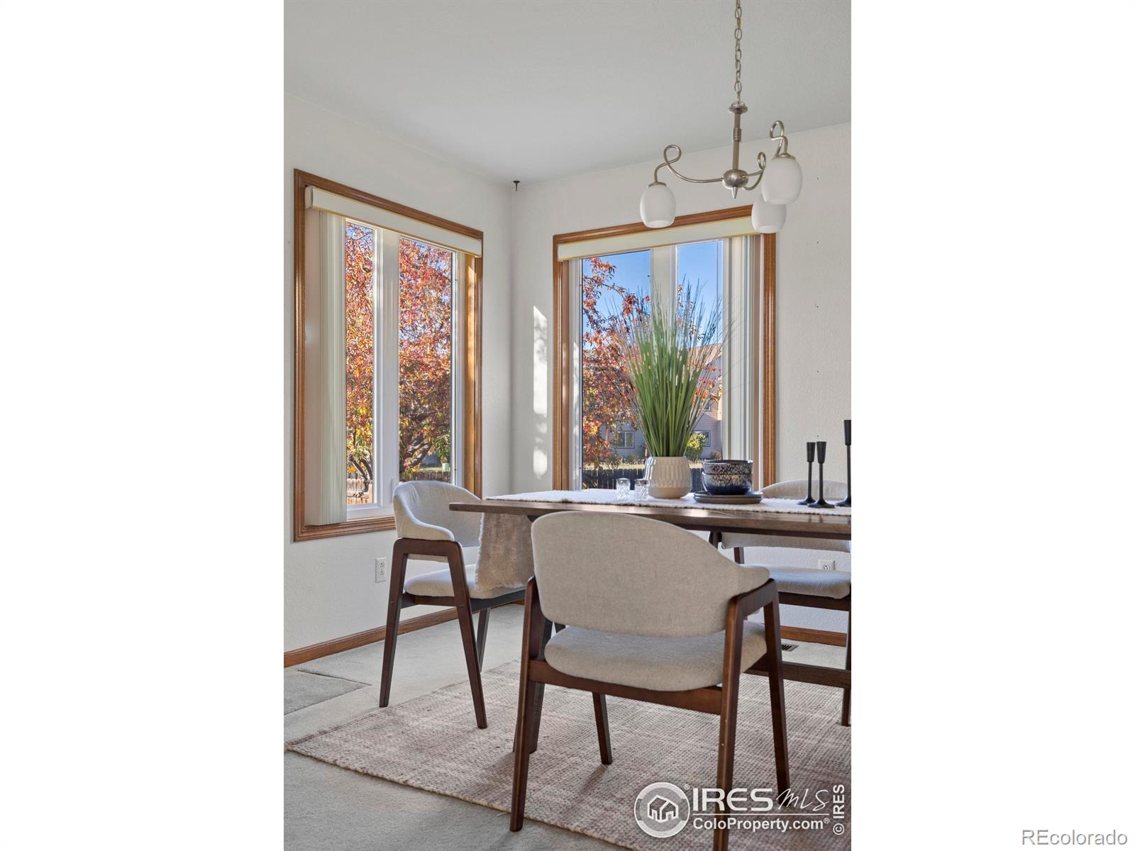 1803 Park Drive