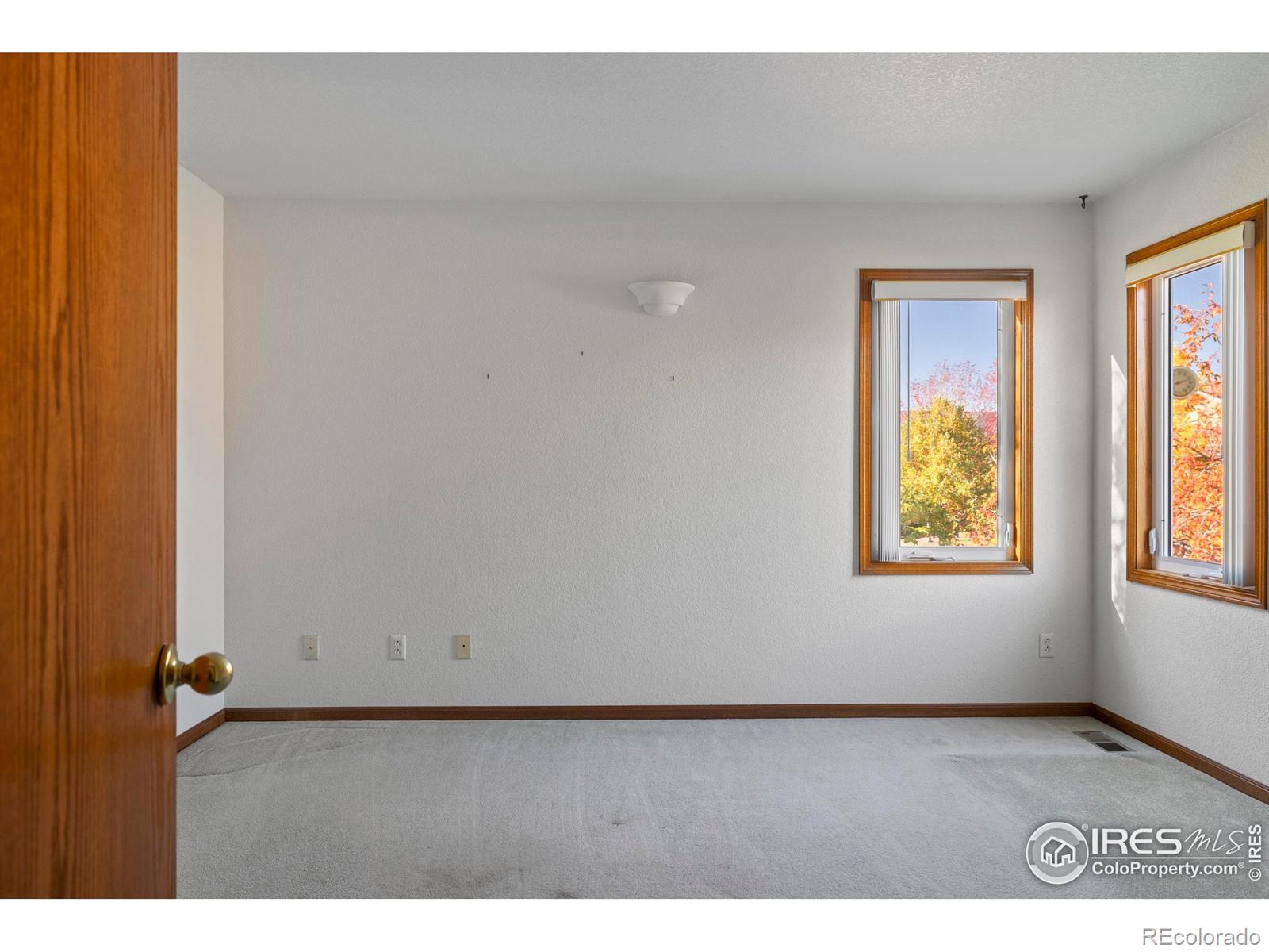 1803 Park Drive