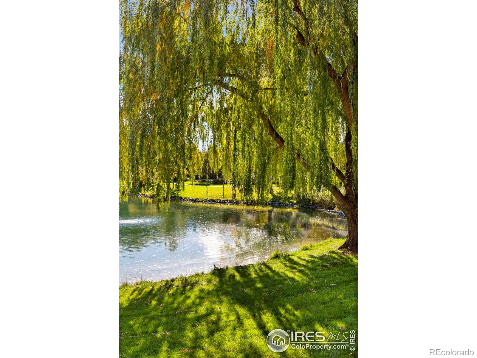 5225 White Willow Drive Unit: Q220