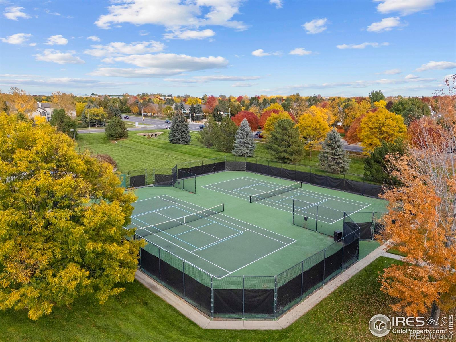 5225 White Willow Drive Unit: Q220